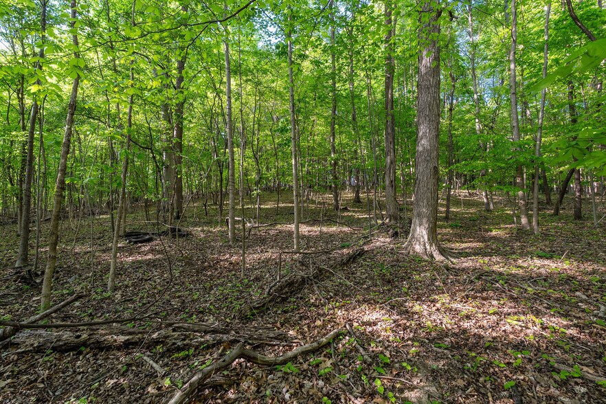 More Photos Of 2188 Highway 75, Blountville Land For Sale