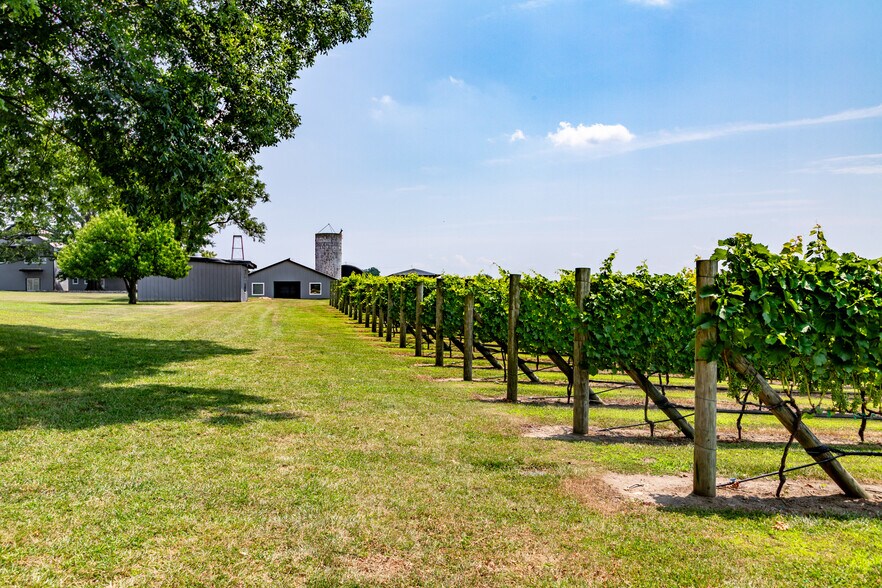 More Photos Of 27058 Mount Pleasant Rd, Columbus Winery Vineyard For Sale
