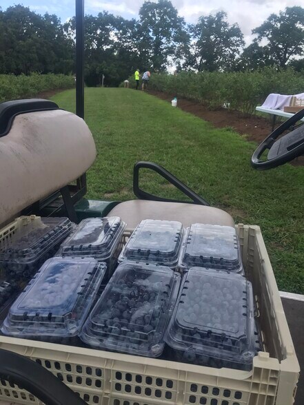 More Photos Of 552 Lick Creek Rd, Leasburg Land For Sale