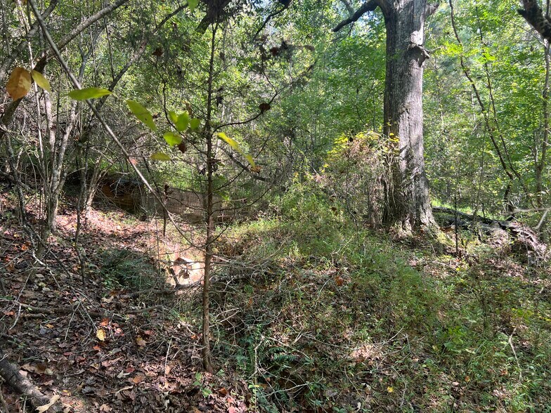 More Photos Of 124 S Kelley St, Tallapoosa Land For Sale