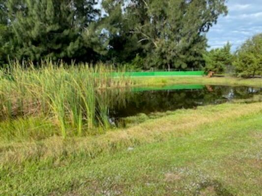 More Photos Of 3525 N Courtenay Pky, Merritt Island Office For Sale