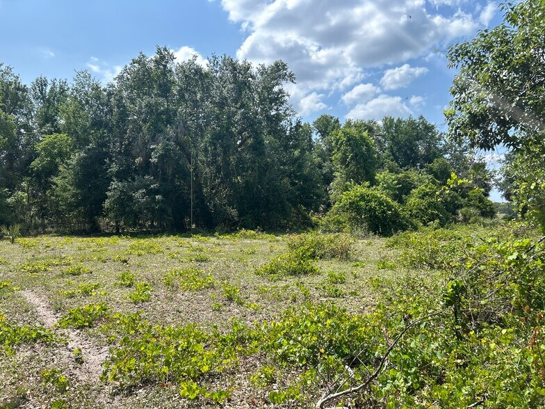 More Photos Of 28301 Shirley Shores Road, Tavares Land For Sale