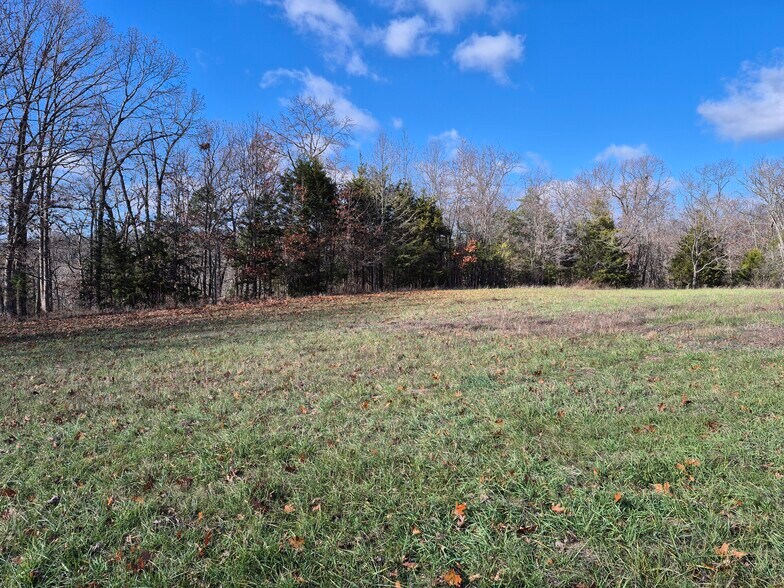 More Photos Of Logan School Rd. (30.2+/- Acres), New Florence Land For Sale