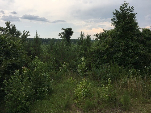 More Photos Of New Light Rd, Sturgis Land For Sale