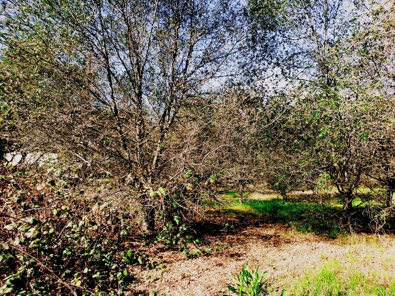 More Photos Of Ambassador Dr, Rocklin Land For Sale