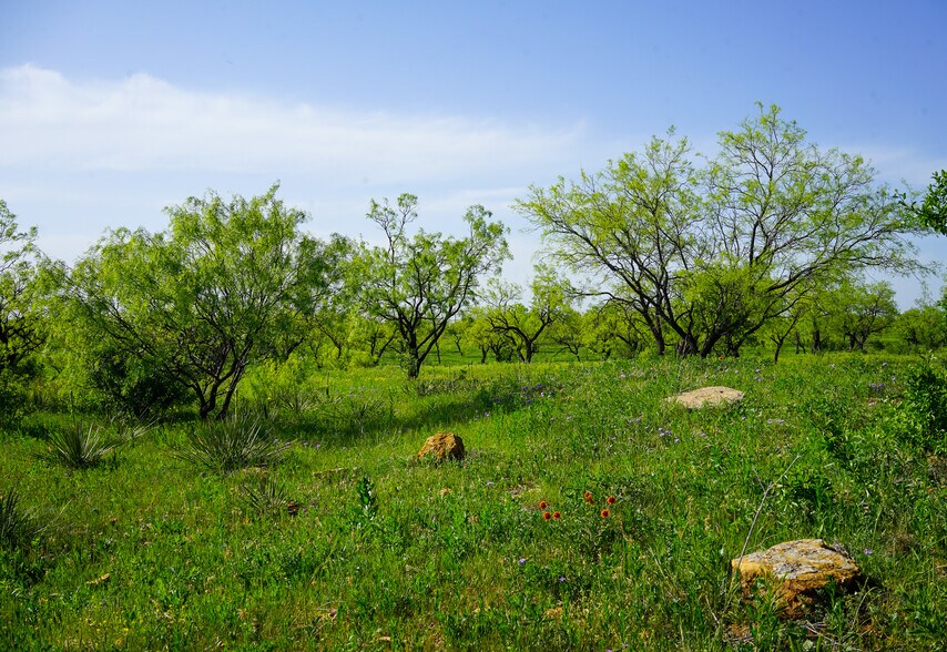 More Photos Of 723 FM 2926, Baird Land For Sale