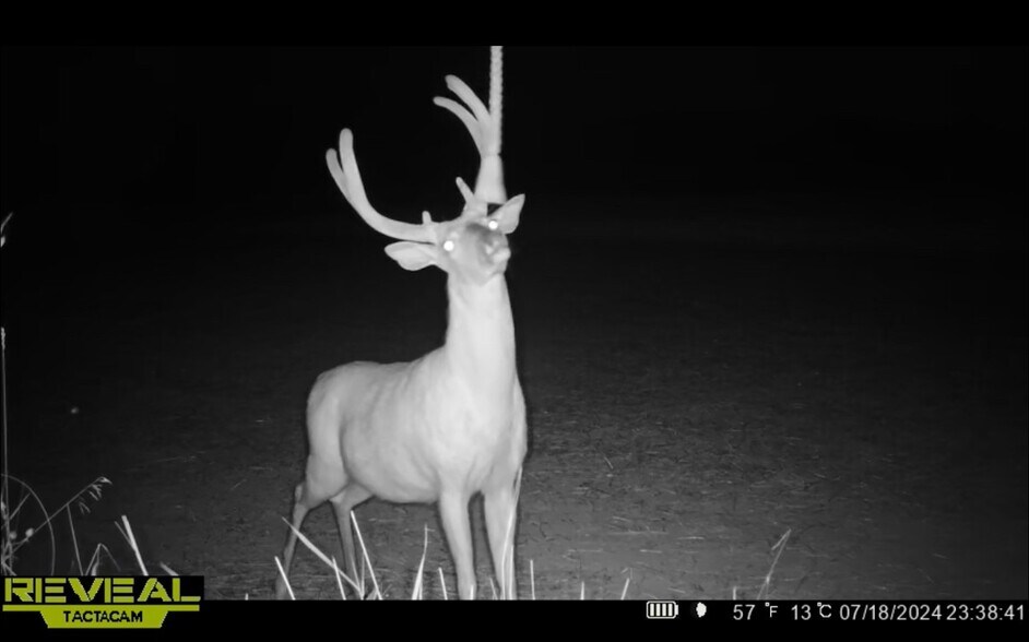 More Photos Of Fisher Road, Iola Land For Sale