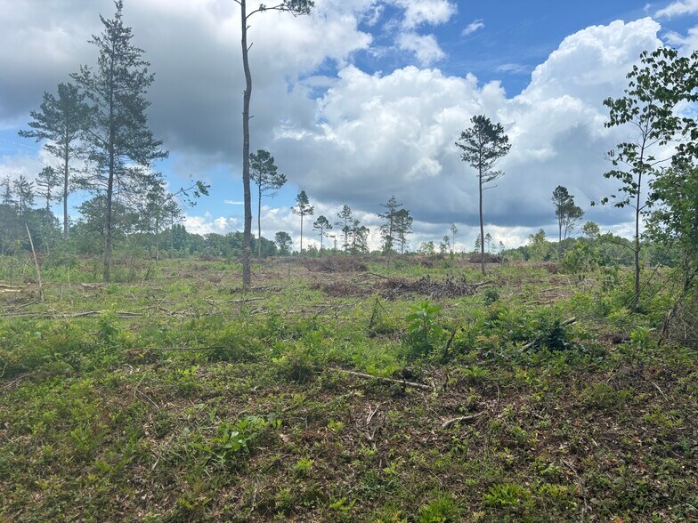 More Photos Of TBD CR 3665 Queen City Texas 20 Acres, Queen City Land For Sale
