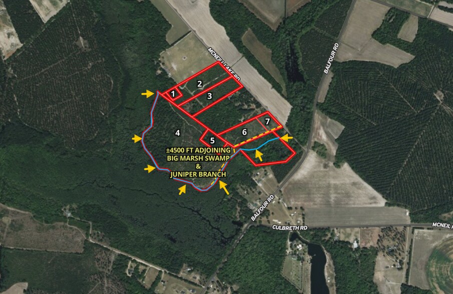More Photos Of McNeill Lake Rd, Lumber Bridge Land For Sale