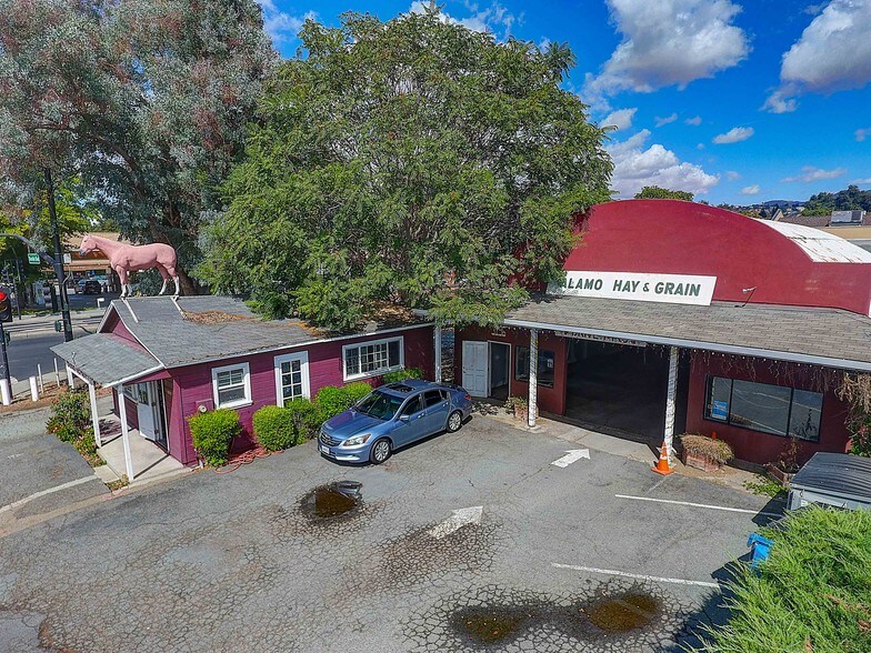 Primary Photo Of , Alamo General Retail For Sale