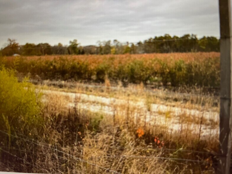 Primary Photo Of 98 Sheep Pen Hill Rd, Pemberton Land For Sale