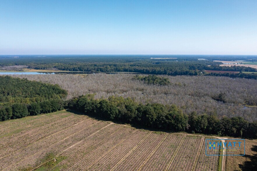 More Photos Of 5152 Rhodesdale Eldorado Rd, Rhodesdale Land For Sale