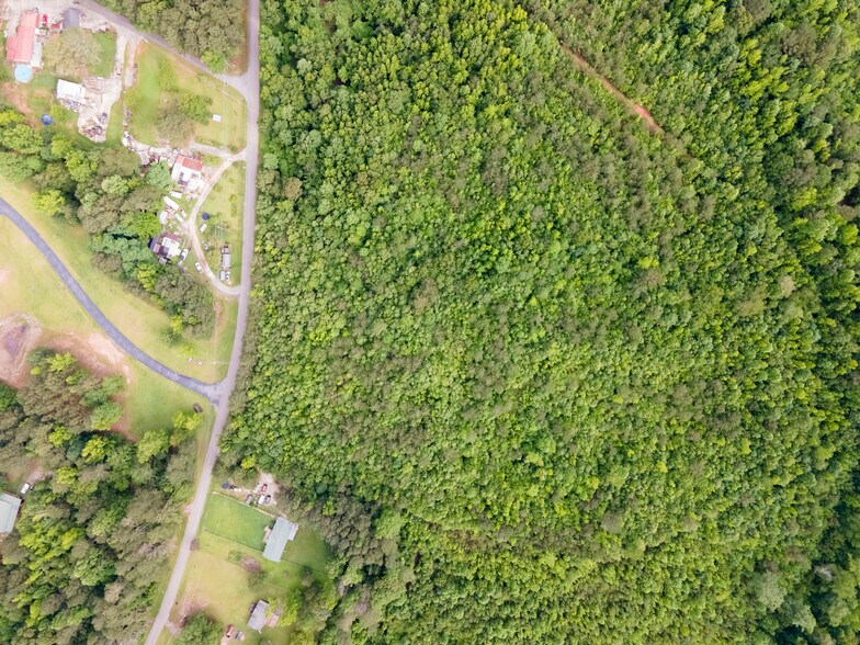 More Photos Of 0 Clayton Dr, Bremen Land For Sale