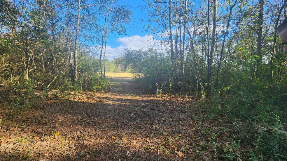 More Photos Of 199 Garner Rd, Bridgeport Land For Sale