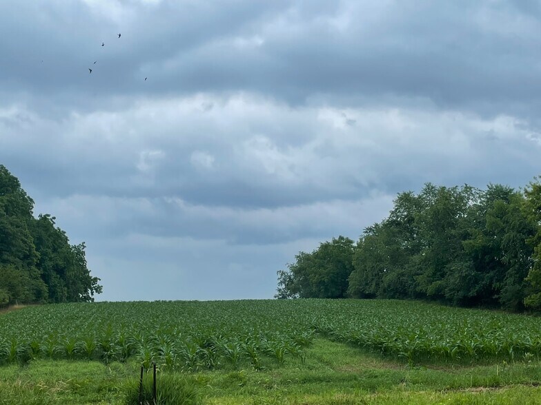 More Photos Of 12505 Beaverton Rd, Poplar Grove Land For Sale