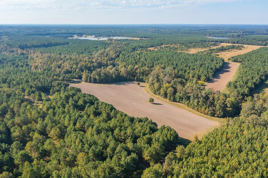 More Photos Of 18618 Hwy 43, Linden Land For Sale