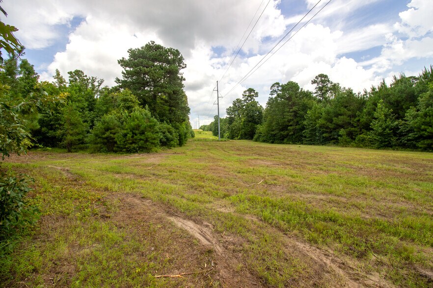 More Photos Of 2539 FM 995, Atlanta Land For Sale
