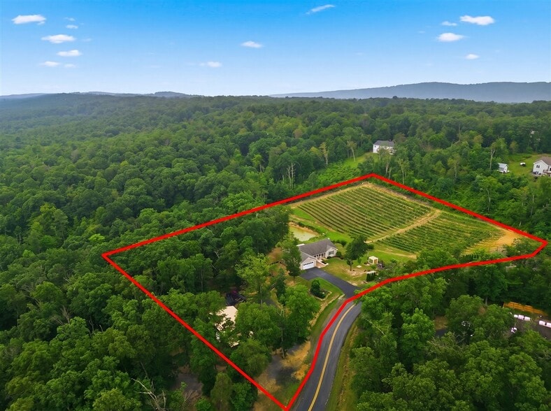 More Photos Of 1309 Redland Rd, Cross Junction Winery Vineyard For Sale