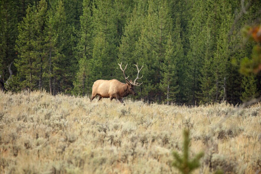 More Photos Of Ashley Lake Timber & Recreation Tract, Kalispell Land For Sale