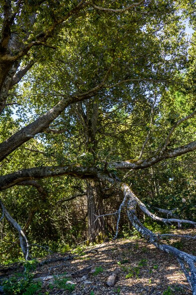 More Photos Of 16401 South Highway 1, Manchester Land For Sale