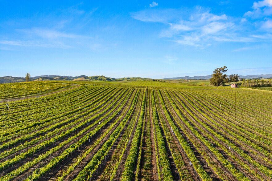 More Photos Of 2750 Las Amigas Rd, Napa Winery Vineyard For Sale