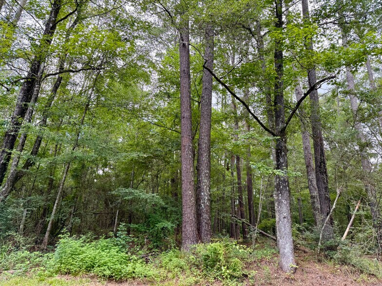 More Photos Of 2194 MS-570, Summit Land For Sale