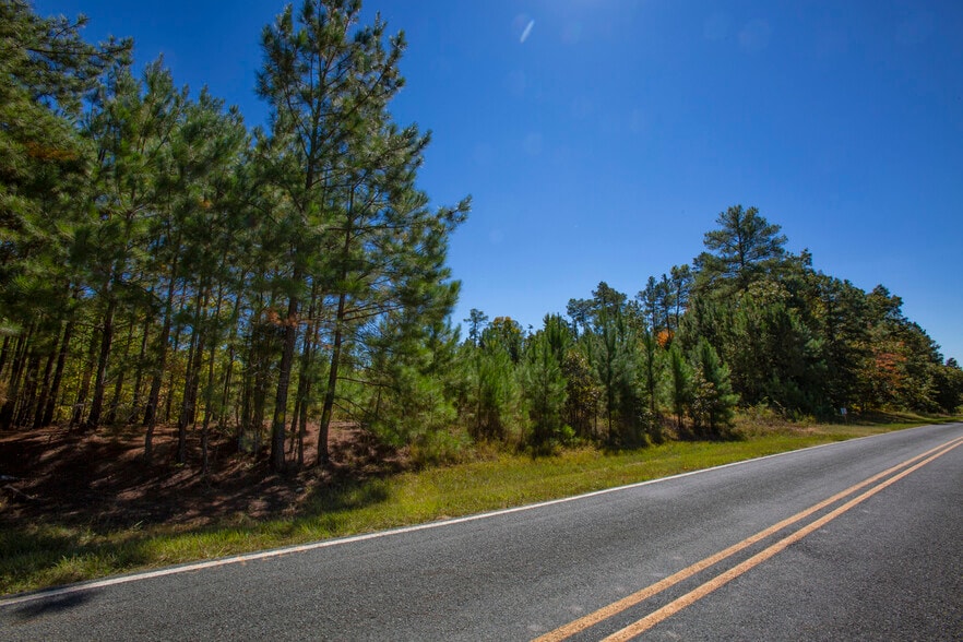 More Photos Of Walter Bright Road & 15-501, Sanford Land For Sale