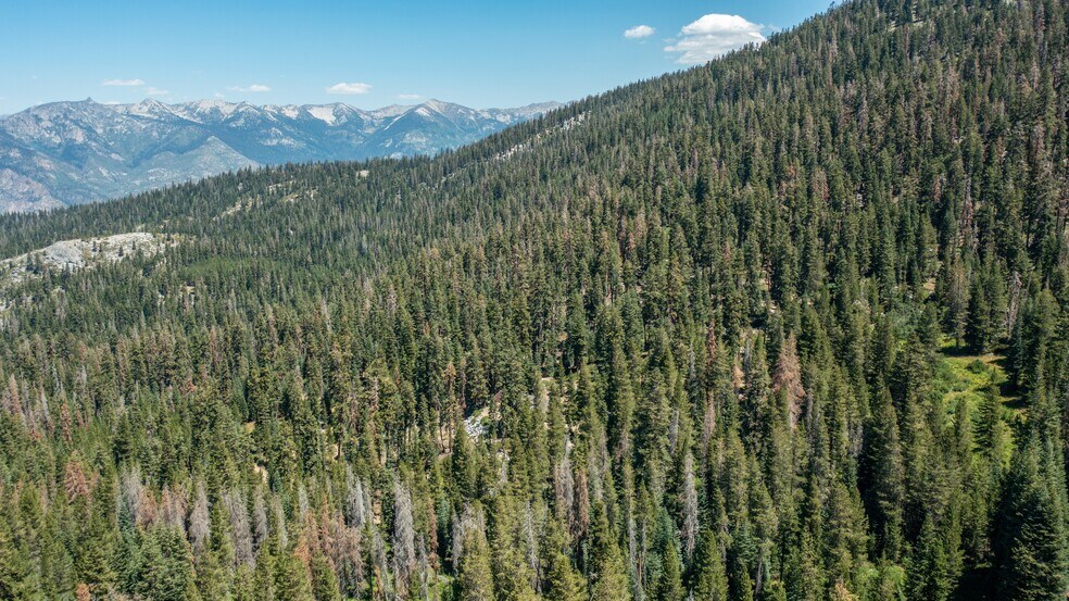 More Photos Of 65745 Big Meadows Road, Kings Canyon National Pk Land For Sale