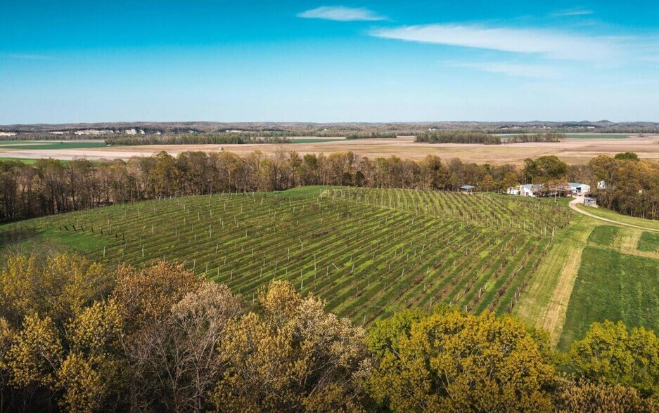 More Photos Of 3166 Highway B, Berger Winery Vineyard For Sale