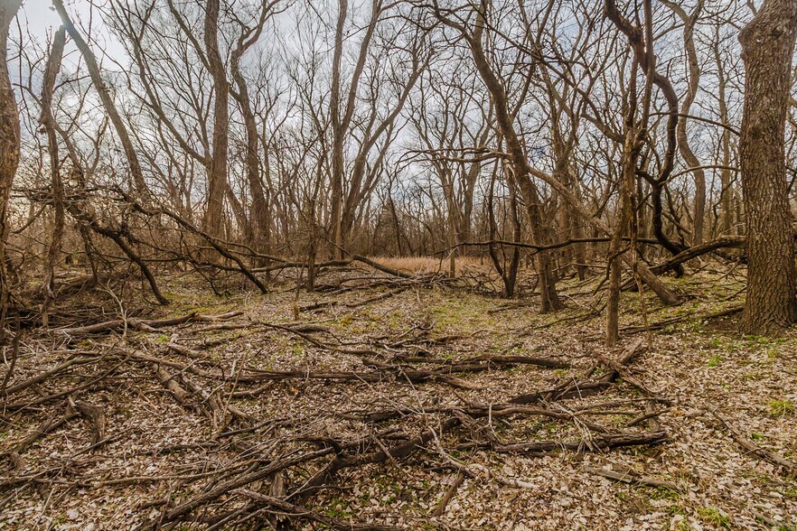More Photos Of 79+/- Acres on 272nd Rd. Rd @ 41st Rd, Arkansas City Land For Sale