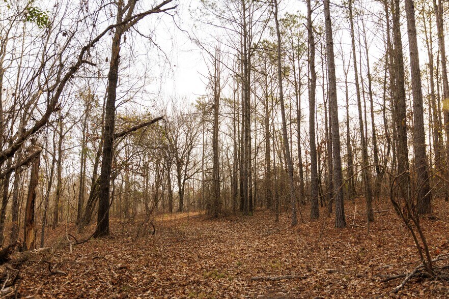 More Photos Of Jug Factory Road, Wetumpka Land For Sale