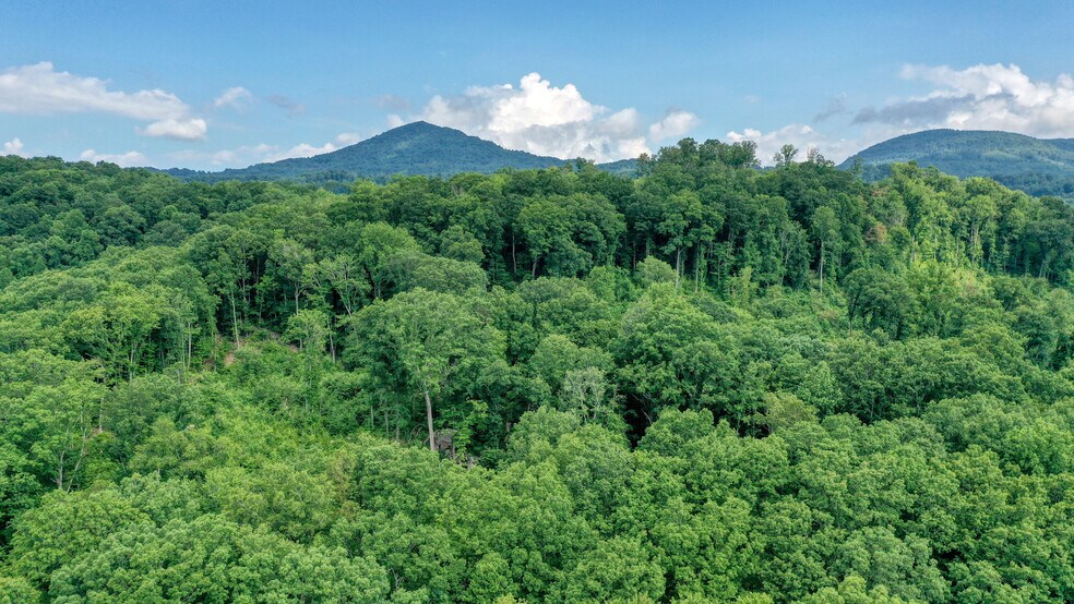 Dutch, Briceville, TN 37710 Land For Sale