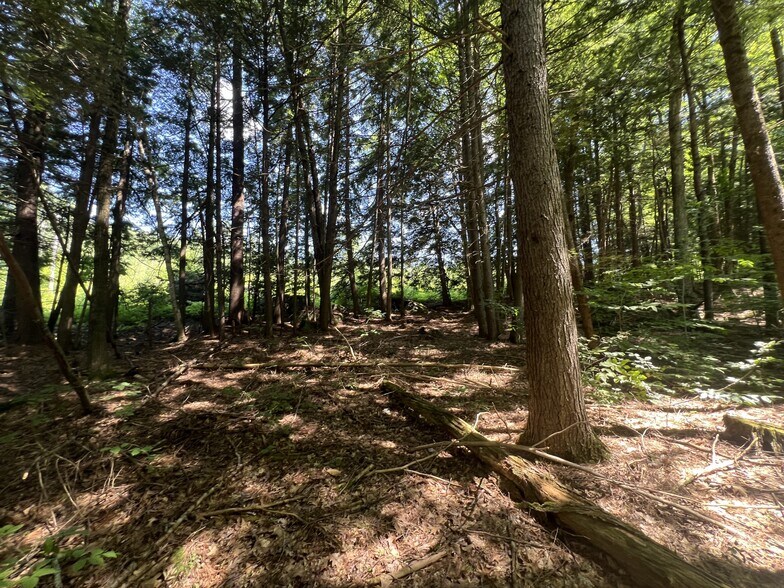 More Photos Of 155 Route 103, Warner Office Residential For Sale