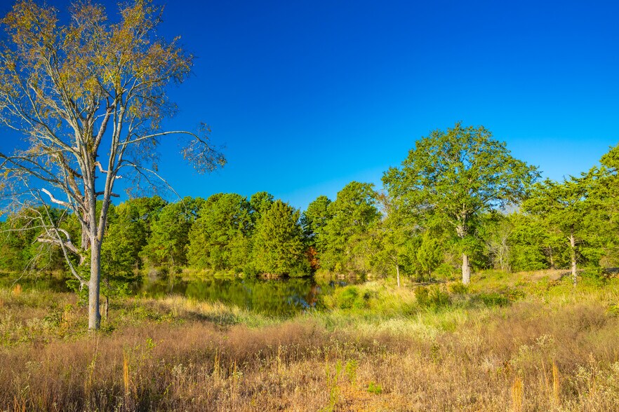 More Photos Of 391 Farm to Market 1519, Scroggins Land For Sale