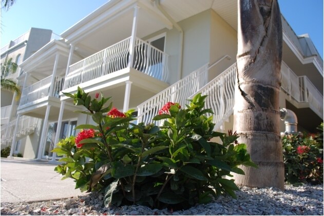 More Photos Of 185 Brightwater Dr, Clearwater Apartments For Sale