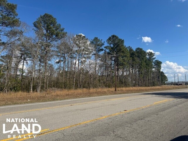 More Photos Of Hwy 421 S. Malpass Corner, Burgaw Land For Sale
