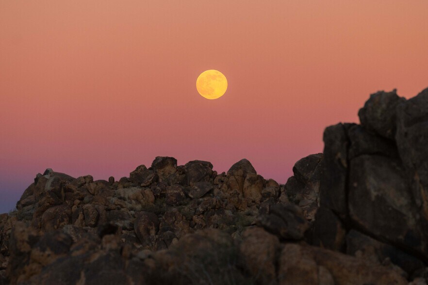 More Photos Of 61271 Calle Los Amigos, Joshua Tree Land For Sale