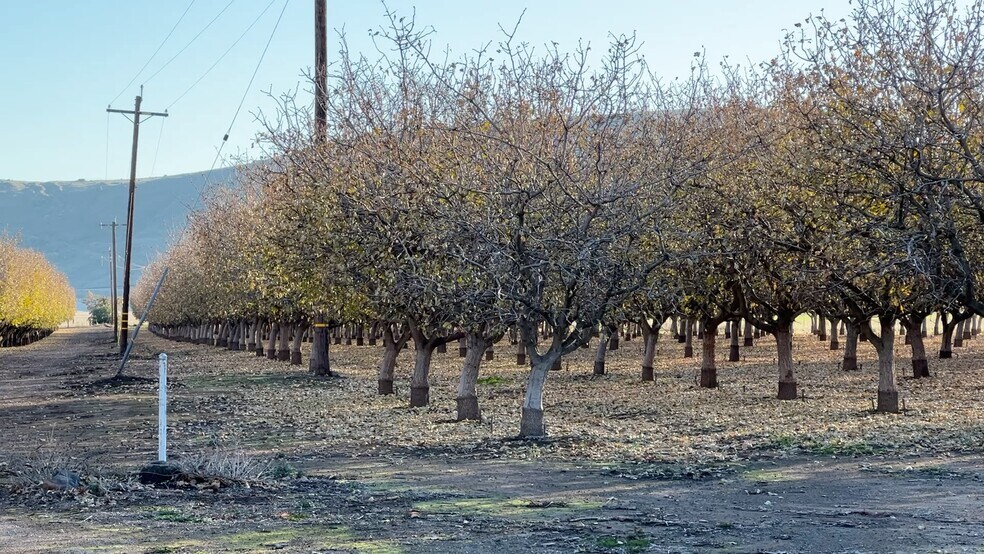 More Photos Of 9121 Pass Rd Rd, Sutter Land For Sale