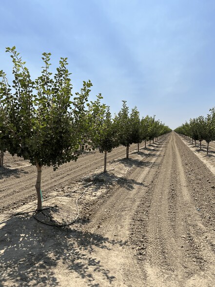 More Photos Of Idaho Ave @ 5th Avenue, Hanford Land For Sale