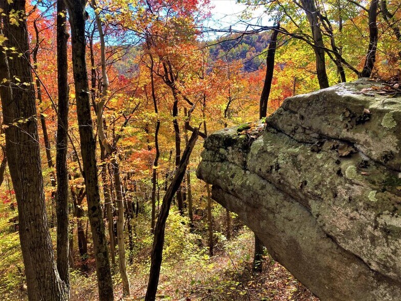 More Photos Of 2005 Grafton Rd, Morgantown Land For Sale