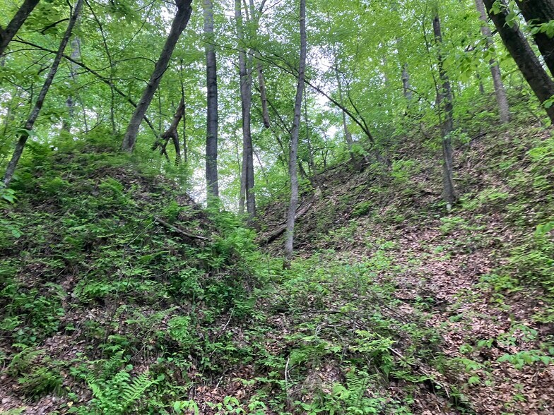 More Photos Of N3739 Bear Pen Rd, Arkansaw Land For Sale