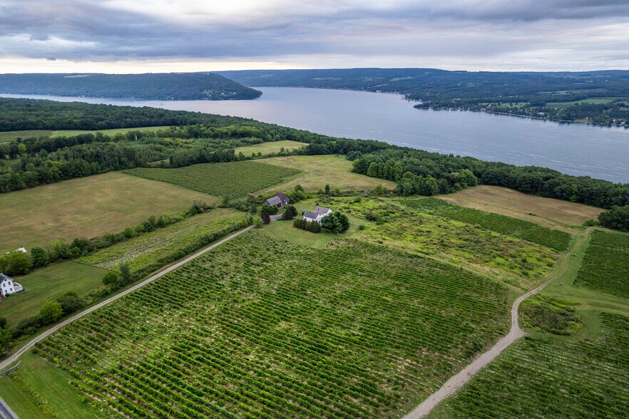 More Photos Of 9940 Middle Rd, Hammondsport Winery Vineyard For Sale