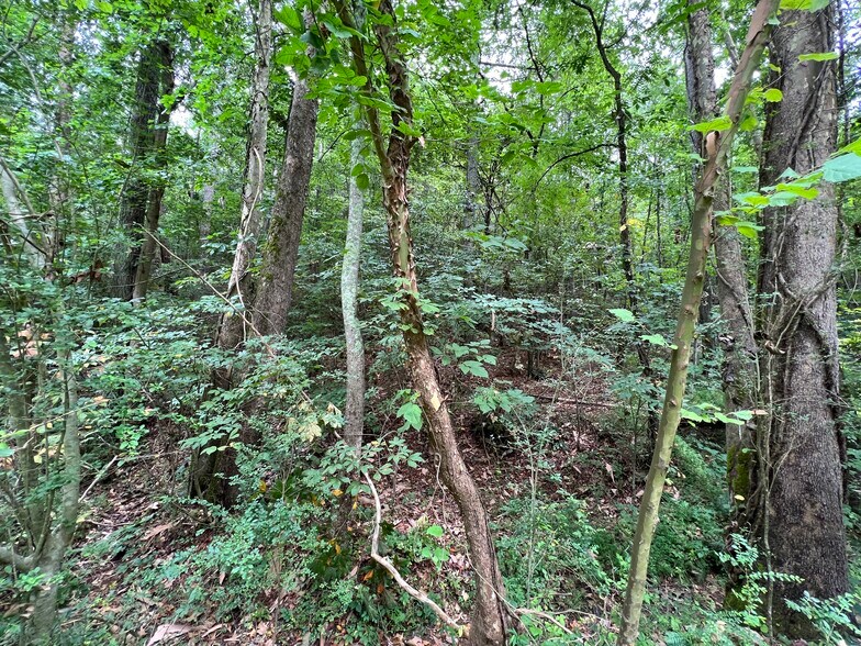 More Photos Of Pinyan, Ranger Land For Sale