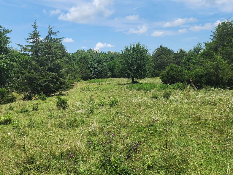 More Photos Of 3000 Valley Pike pike, Harrisonburg Land For Sale
