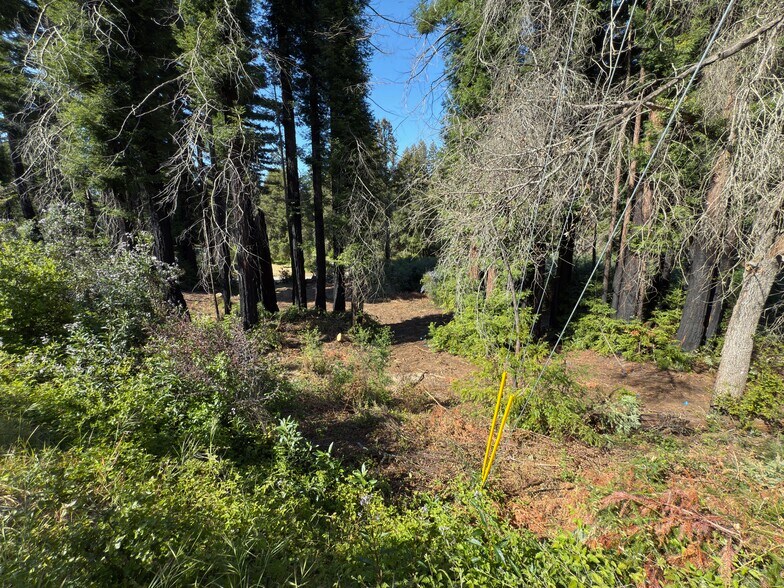 More Photos Of 0 Fallen Leaf Drive, Boulder Creek Land For Sale