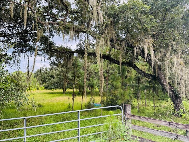 More Photos Of Detjens Dairy Road, Venus Land For Sale