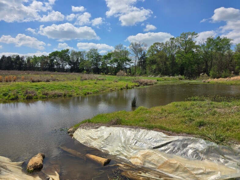 More Photos Of 11888 County Road 345, Winona Land For Sale