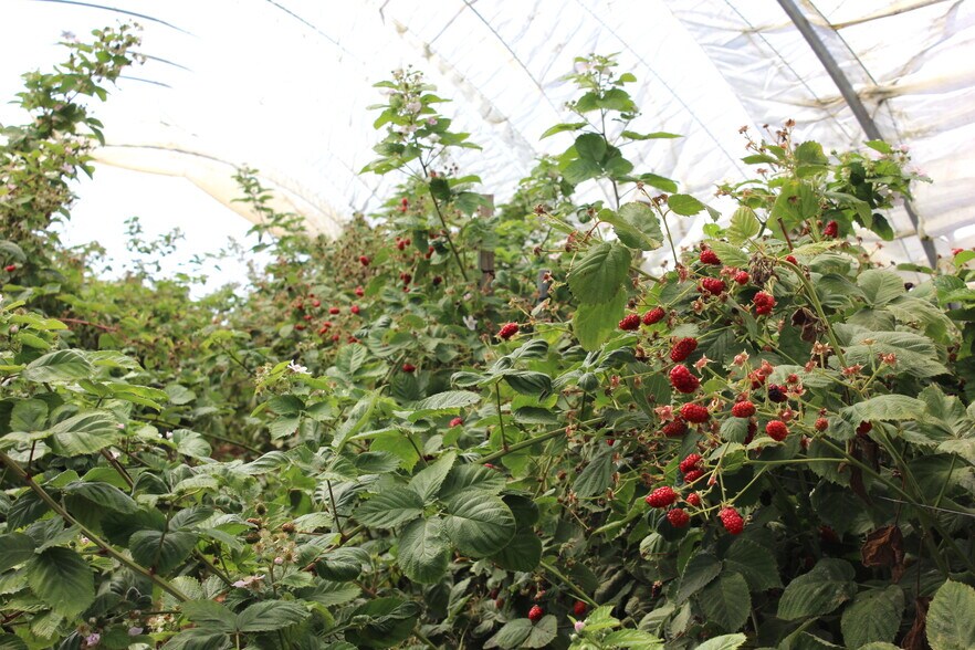 More Photos Of 16475 Blackie Rd, Salinas Land For Sale