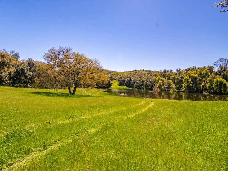 Primary Photo Of 00000 Mesa Grande Road, Santa Ysabel Land For Sale