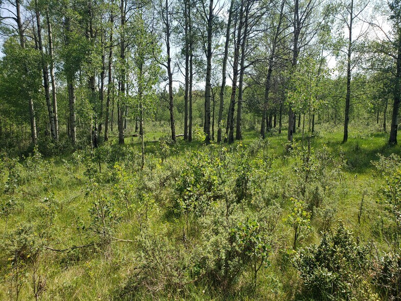 More Photos Of 2 Bow River, Rocky View No 44 Land For Sale